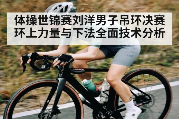 体操世锦赛刘洋男子吊环决赛环上力量与下法全面技术分析